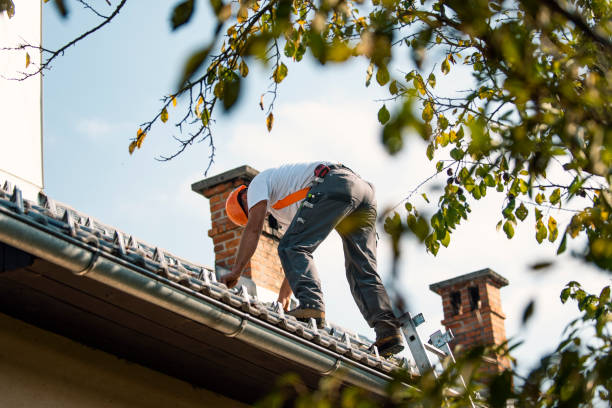 Best Roof Maintenance Services  in Boulevard Park, WA