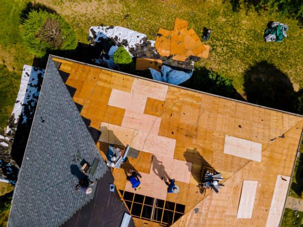 Best Storm Damage Roof Repair  in Boulevard Park, WA